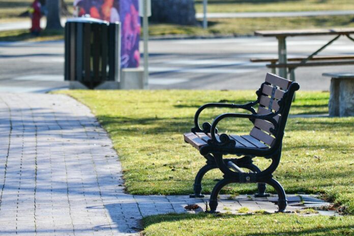 A solitary wooden bench on a sunlit pathway in an urban park setting, offering tranquility.